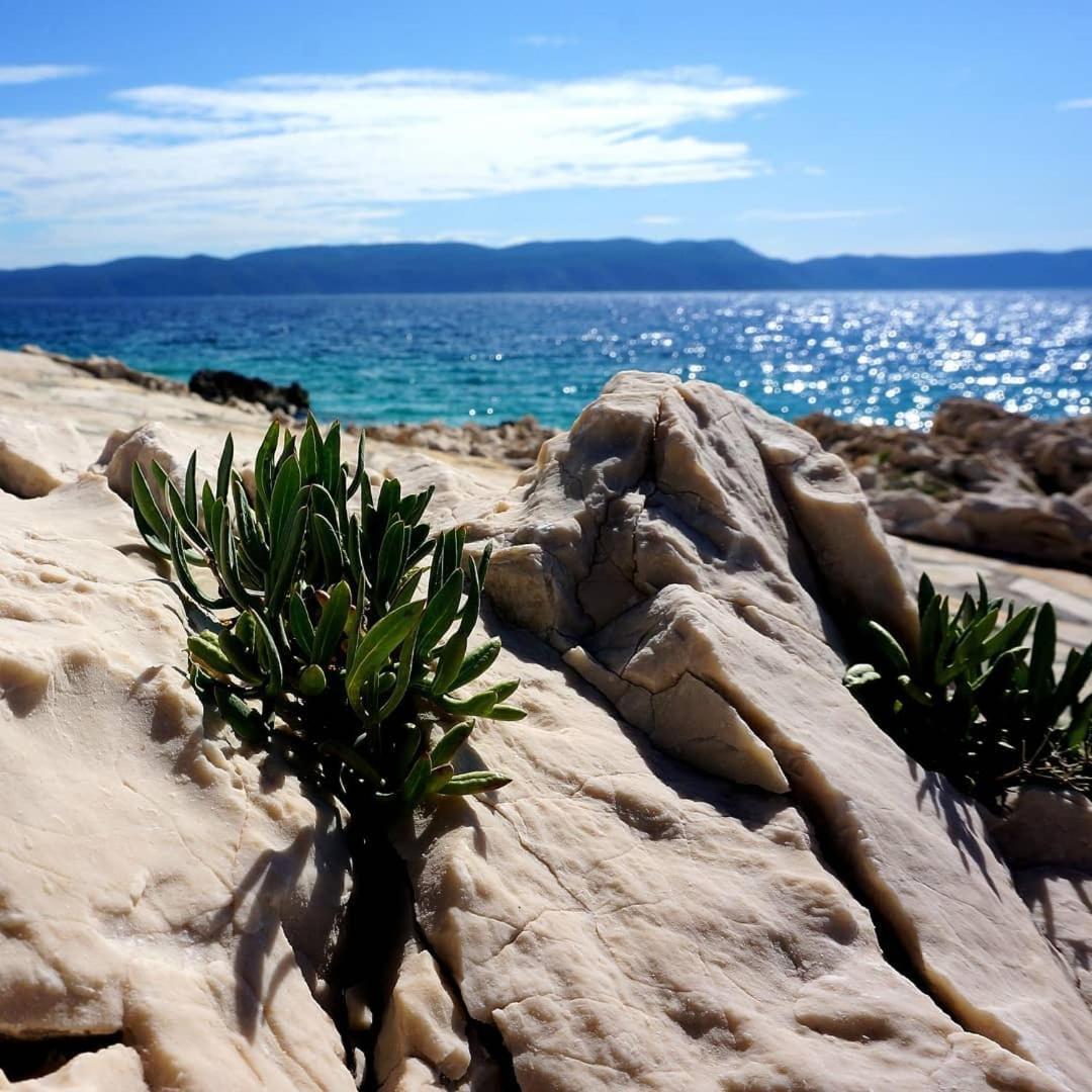 Apartment Lucille In Center Of Rabac Luaran gambar